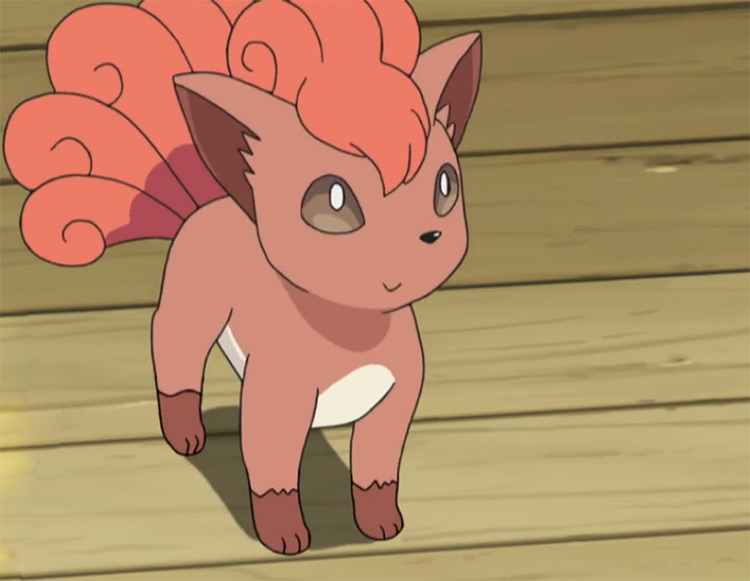 Vulpix from Pokemon anime