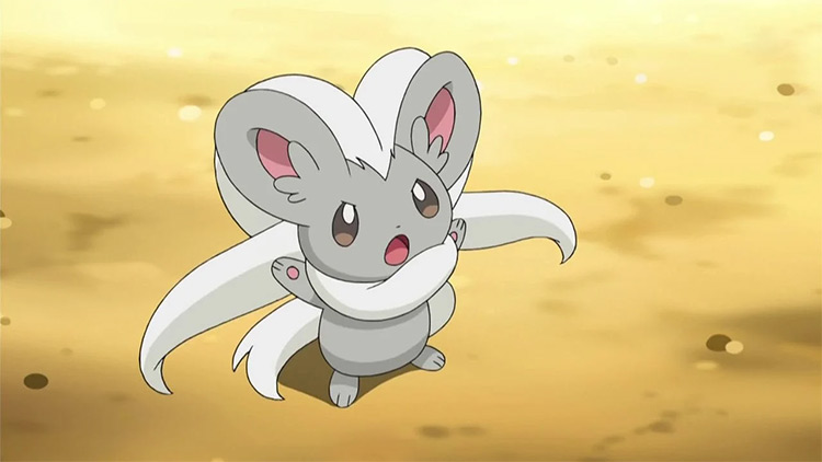 Minccino Pokemon anime screenshot