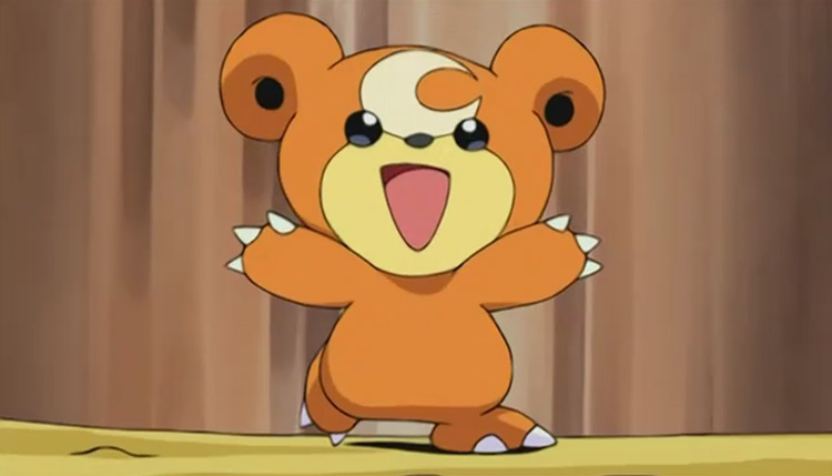 Teddiursa Pokemon in the anime