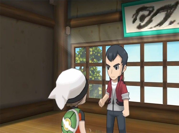 Norman / Pokémon ORAS Gym Leader Screenshot