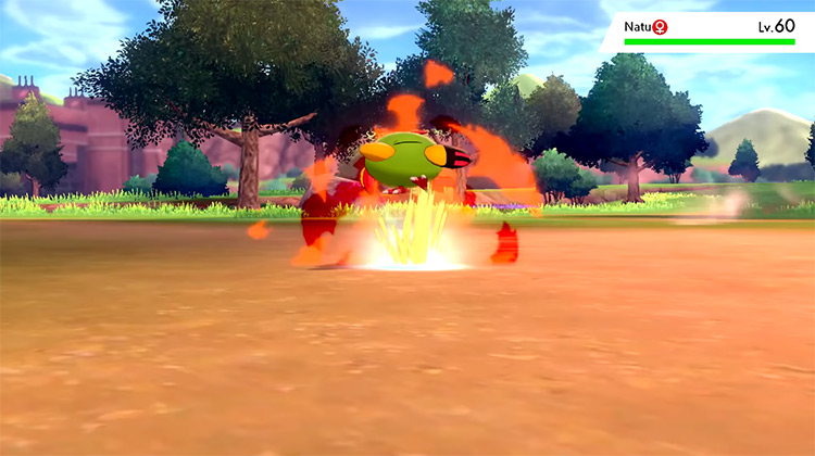 Heat Crash on Natu / Pokémon Sword and Shield