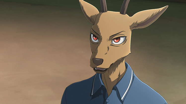 Louis in Beastars anime