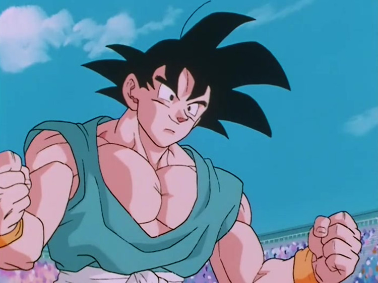 Goku from Dragon Ball Z anime