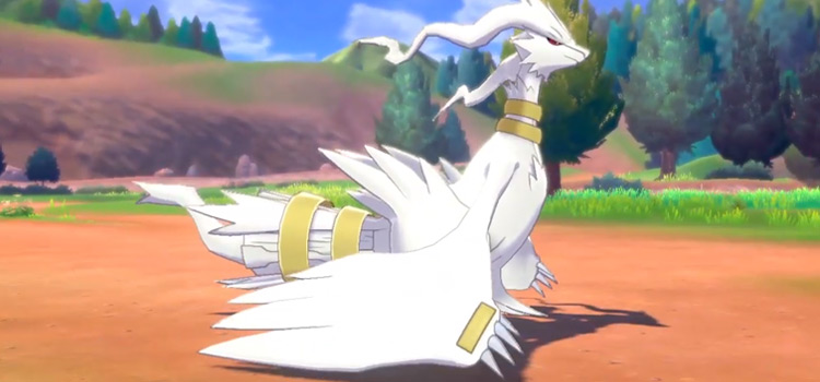 shiny legendary pokemon white