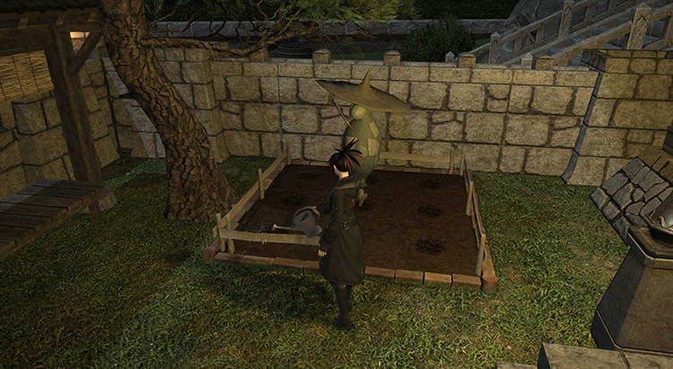Preparing a Deluxe garden for seeds. Scarecrow included with purchase / FFXIV