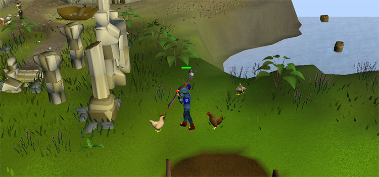 Splashing on a chicken / OSRS