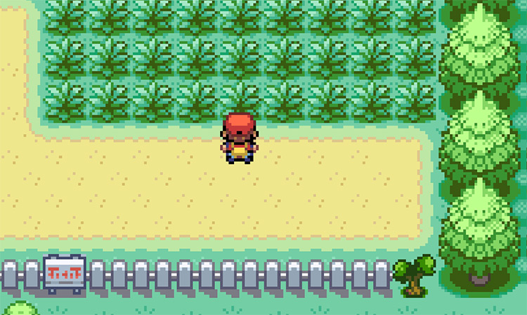 Route 16 tall grass that holds Doduo / Pokémon FRLG