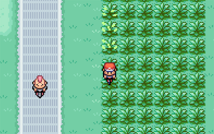 Tall grass on Route 17 where Doduo can be found / Pokémon FRLG