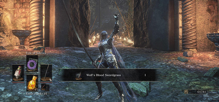 Getting Wolfs Blood Swordgrass in DS3