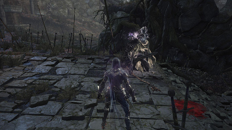 A Darkwraith attacking a Ghru / Dark Souls 3