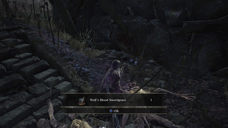 Collecting a Wolf’s Blood Swordgrass from a Ghru / Dark Souls 3
