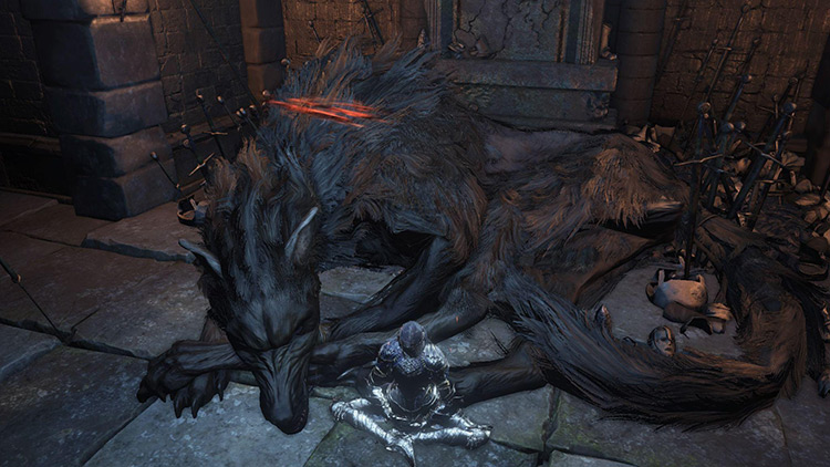 The Old Wolf of Farron / Dark Souls 3