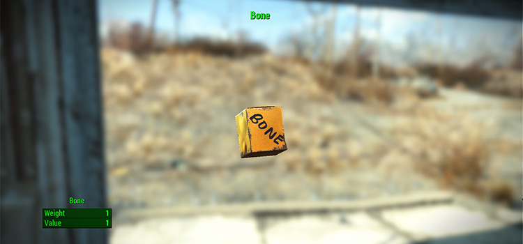 One Piece of Bone (FO4)