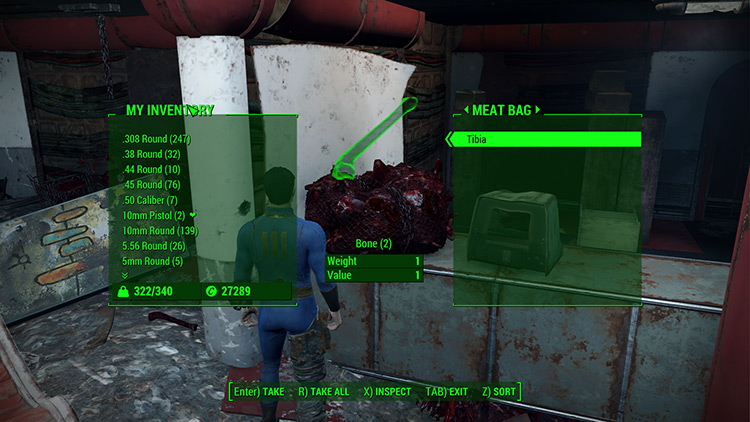 Collecting one Tibia from a Meat Bag / Fallout 4