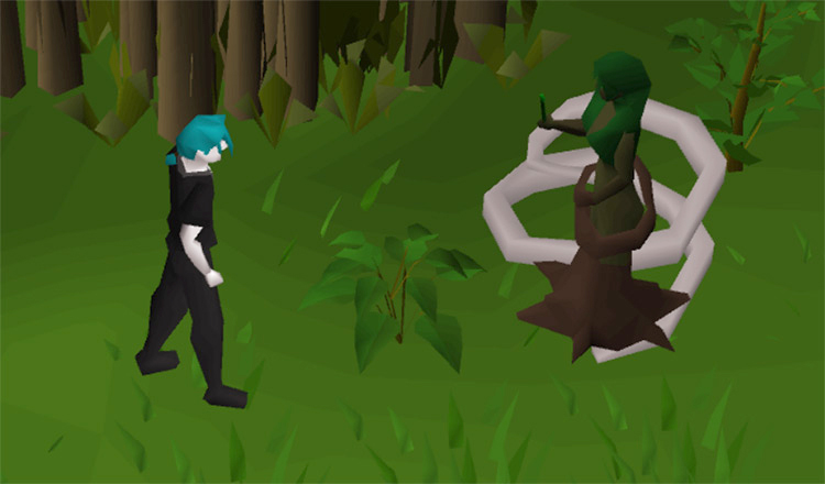 Tree Spirits in the Enchanted Valley / OSRS