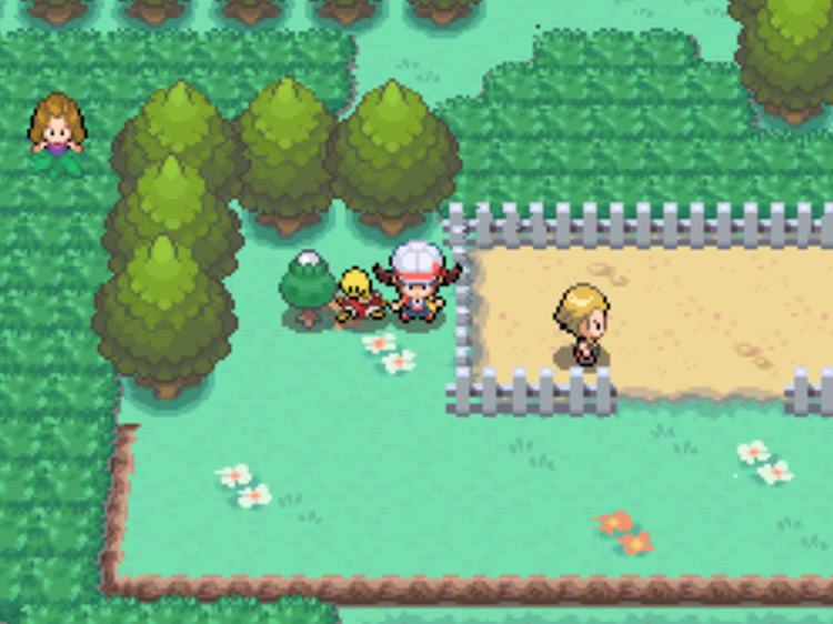 The location of the White Apricorn tree on Route 38 / Pokémon HGSS