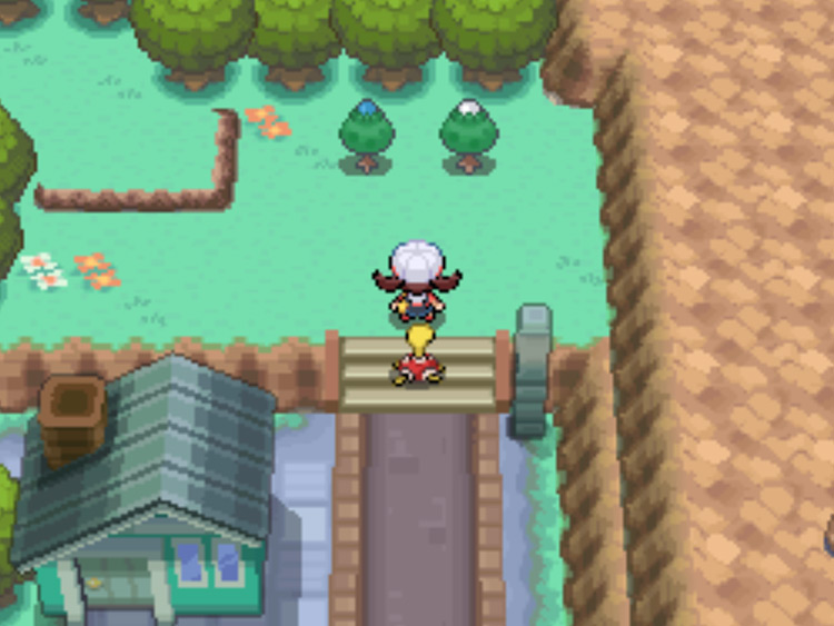 The location of the White Apricorn tree in Pewter City / Pokémon HGSS
