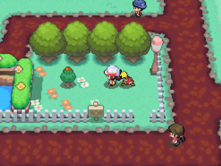 The location of the Red Apricorn tree in Fuchsia City / Pokémon HGSS