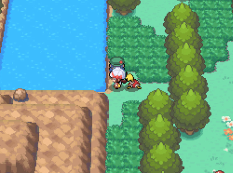 The body of water on Route 43 / Pokémon HGSS