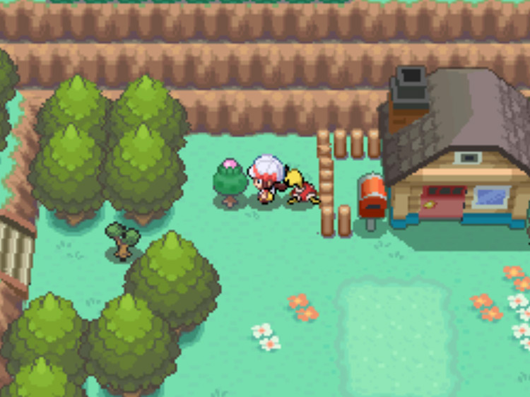 The location of the Pink Apricorn tree on Route 30 / Pokémon HGSS