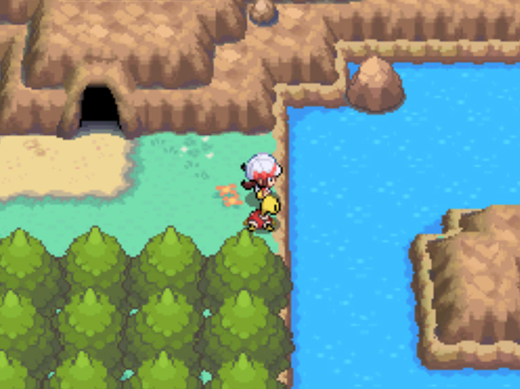 The water on Route 42 / Pokémon HGSS