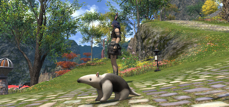 Anteater Minion in Lavender Beds (FFXIV)