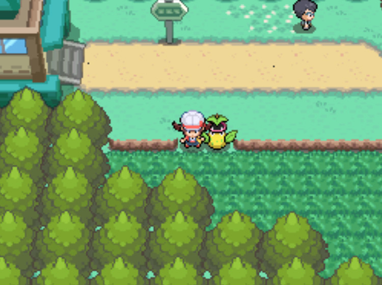 Route 31, your earliest opportunity to catch a Bellsprout / Pokémon HGSS