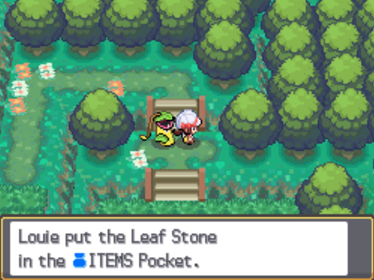 The Leaf Stone on the ground in Viridian Forest / Pokémon HGSS