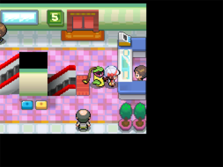 The vendor on the fifth floor of Goldenrod Department Store, who sells TM22 / Pokémon HGSS