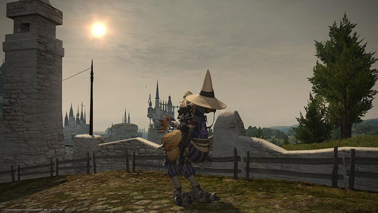 The snazzy Black Mage Chocobo Barding / FFXIV