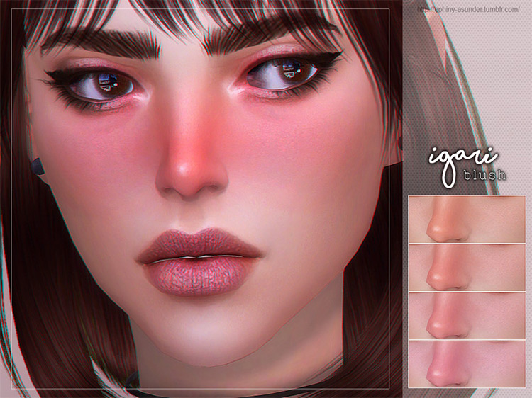 Igari Blush by Screaming Mustard / TS4 CC