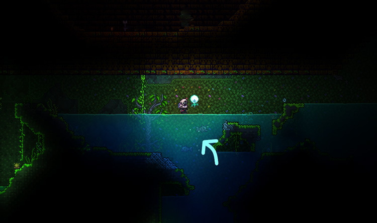 Two Angler Fish under the character / Terraria