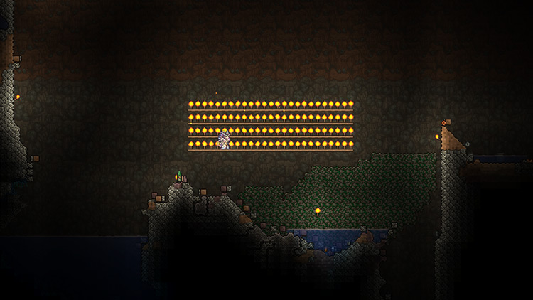 Example of how to start the Torch God event / Terraria