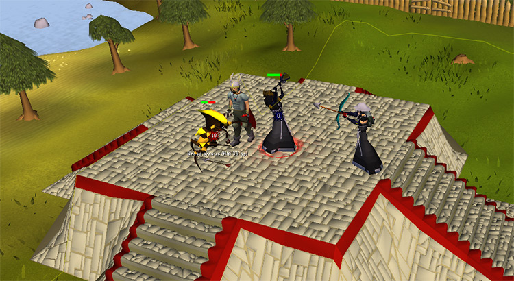 Protecting the Void Knight / OSRS