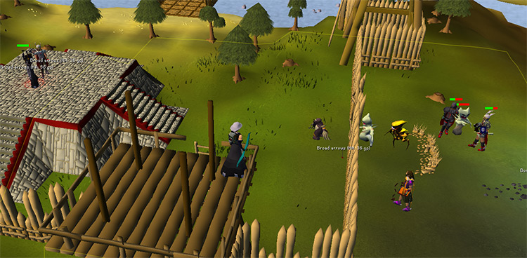 Attacking the pests from the tower / OSRS