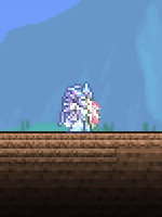 A player equipped with the Hero Shield / Terraria