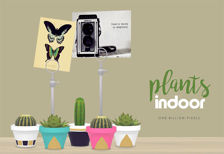 Indoor Plants / Sims 4 CC