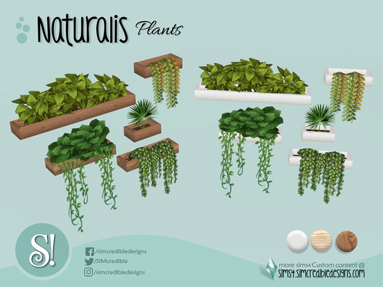 Naturalis Office Wall Plants / Sims 4 CC