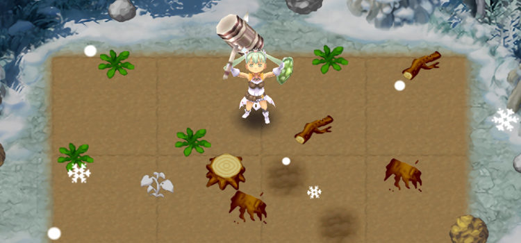 Where is the Winter Field in Rune Factory 4?