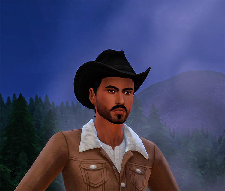 Cowboy Hat Recolors / Sims 4 CC