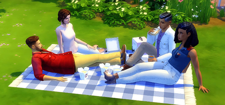 Deco Sims having a picnic (TS4 CC)