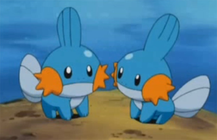 Mudkips in the anime