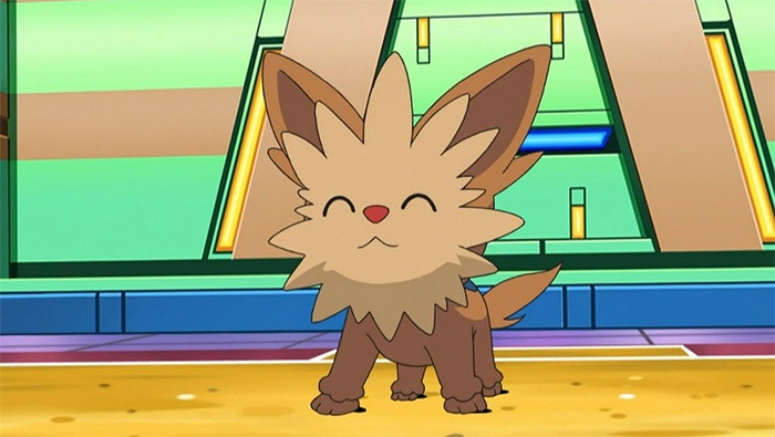 Lillipup pokemon anime