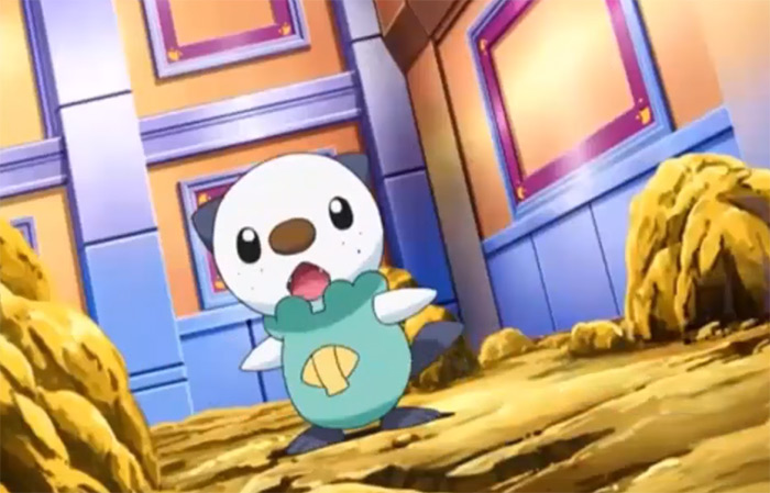 Oshawott anime