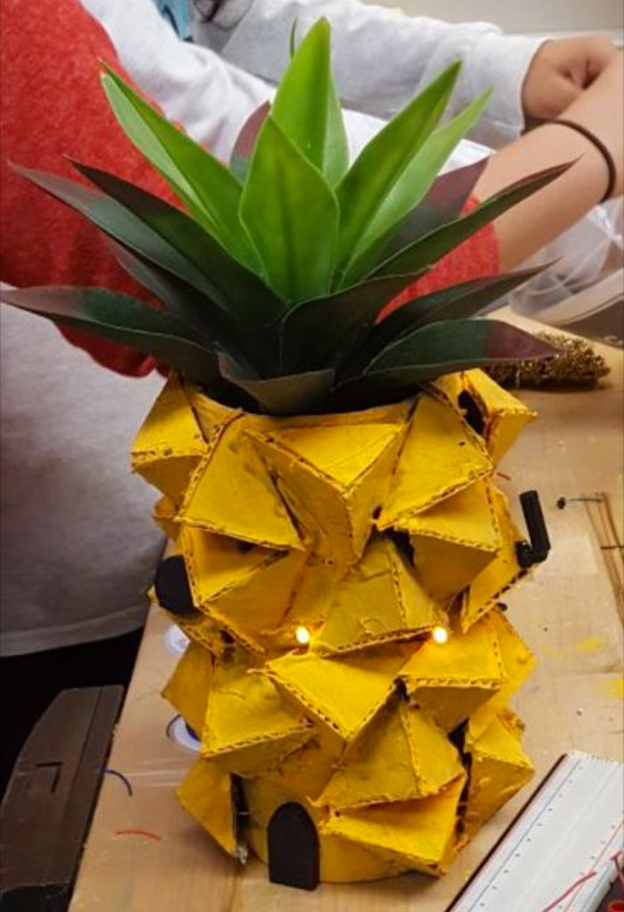 Pineapple house diy