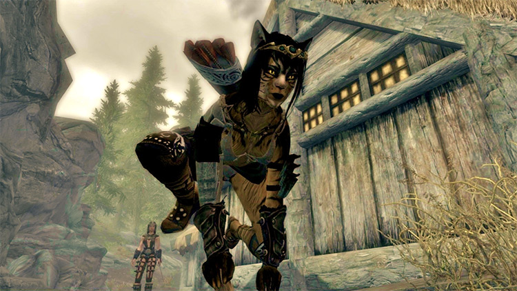 skyrim khajiit race mod