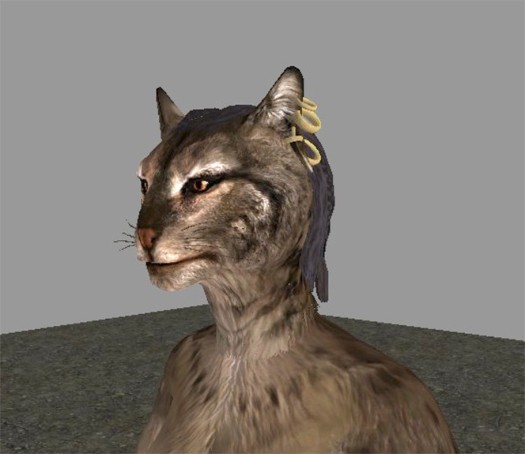 what breed of khajiit are in skyrim