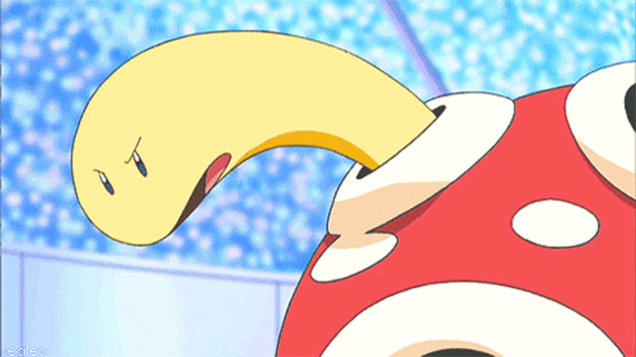 Shuckle peeking out of shell