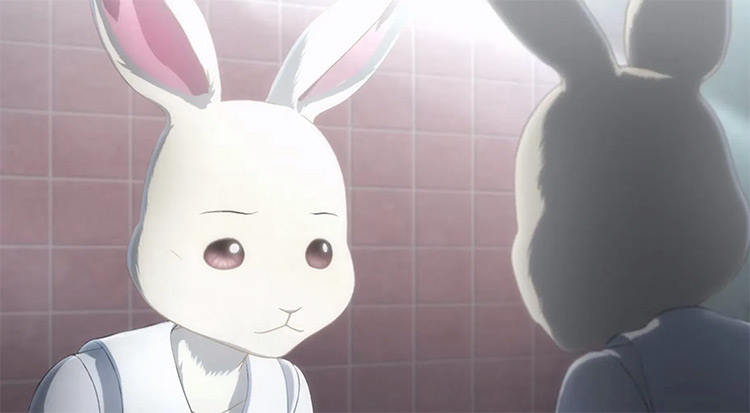 Haru from Beastars - anime screenshot
