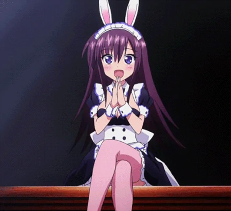 I got bunny ears  Anime Amino